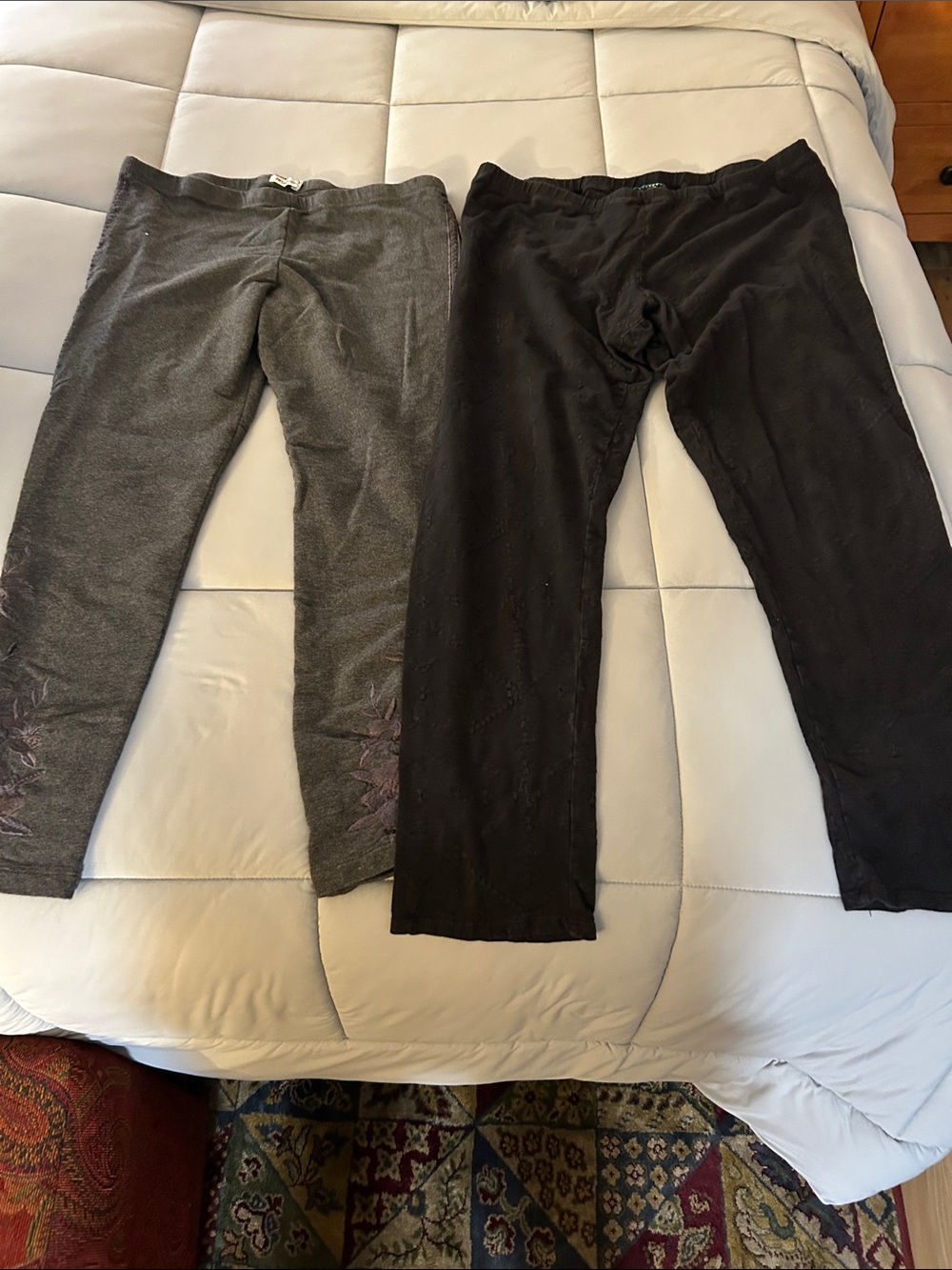 Johnny Was Leggings Bundle